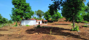 Kittu's Farm